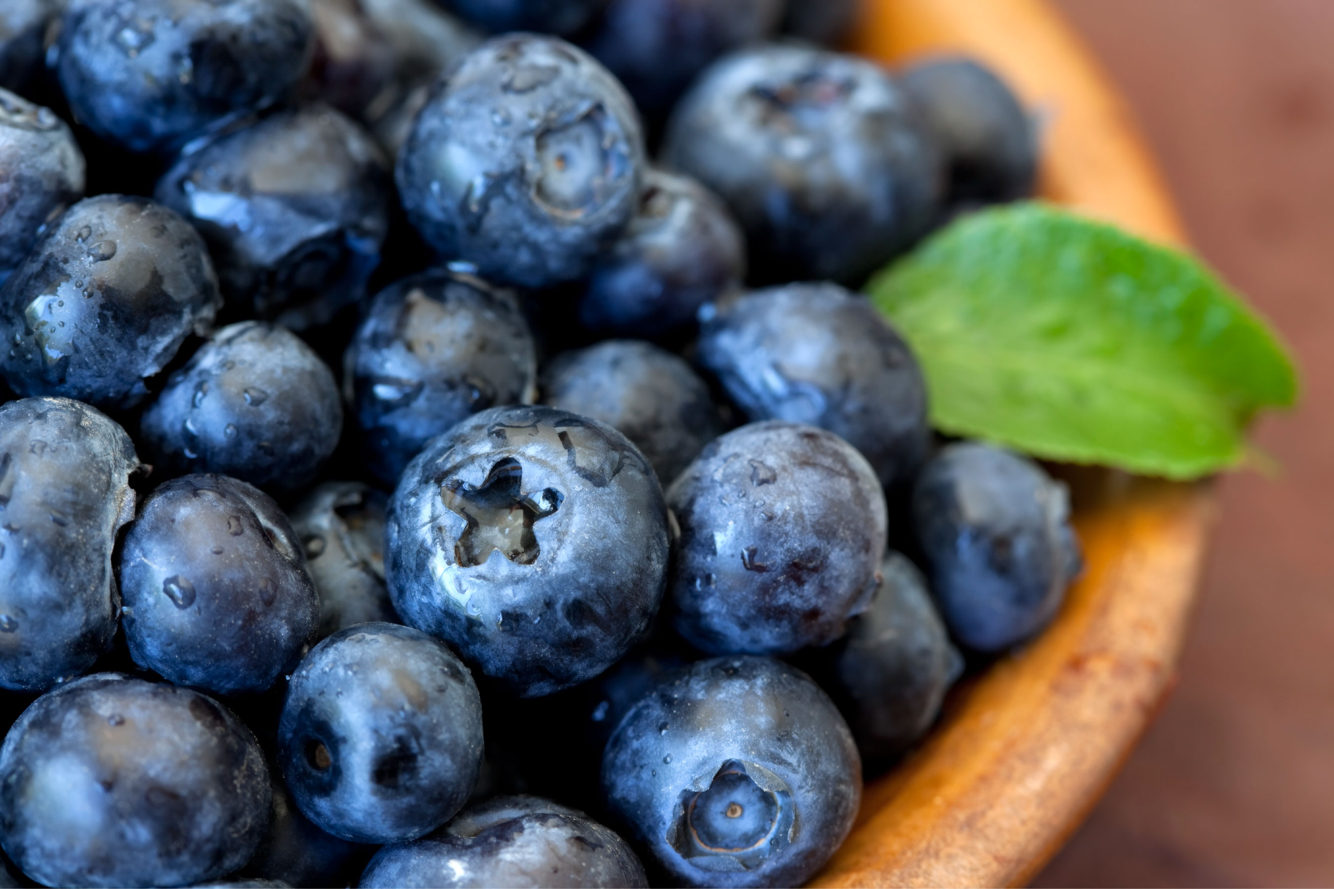 Vanilla Blueberry Creme Frozen Yogurt Flavor with Vanilla base powder mix