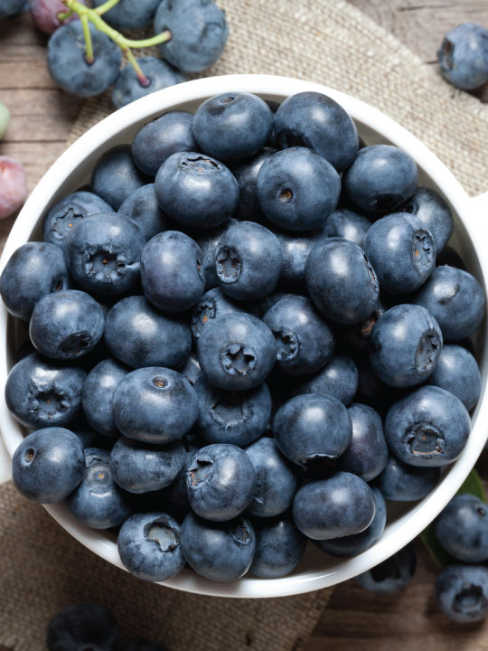 Blueberry Creme Frozen Yogurt Flavor with Vanilla base powder mix