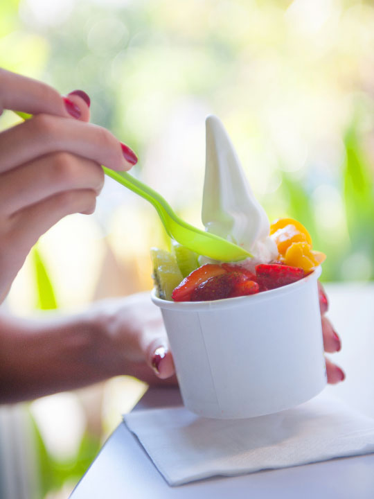 Fresh Frozen Yogurt Flavors