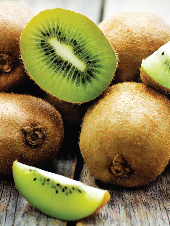 Kiwi Creme Frozen Yogurt Flavor with Vanilla base powder mix