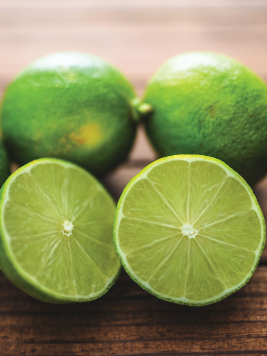 Lime Frozen Yogurt Flavor with Tart base powder mix