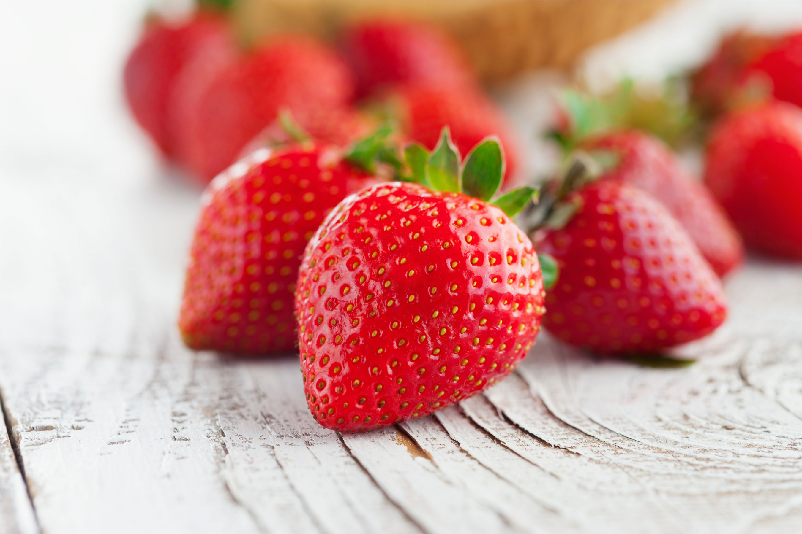 Tart Strawberry Cheesecake Frozen Yogurt Flavor with Tart base powder mix