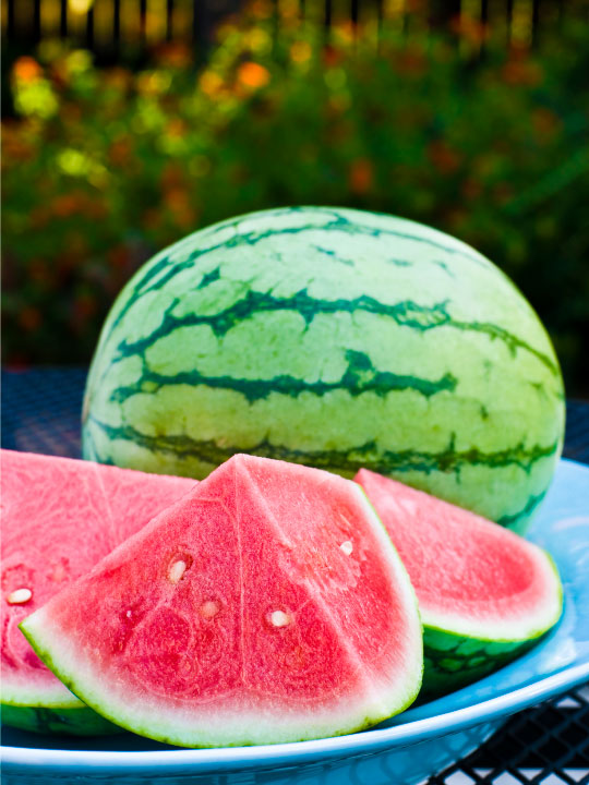 Watermelon Frozen Yogurt Flavor with Tart base powder mix