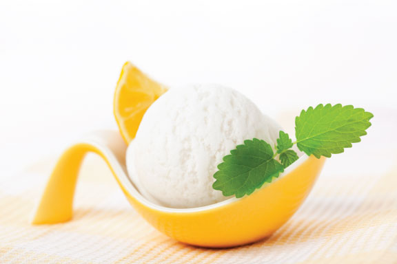 Sorbet Frozen Yogurt Powder
