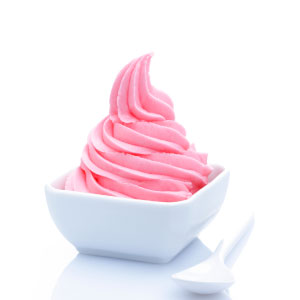 Sorbet Non-Dairy Frozen Yogurt Powder